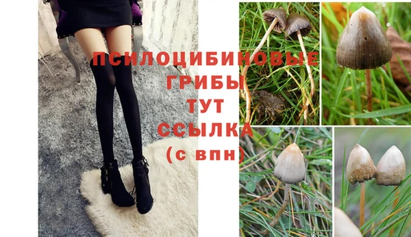 каннабис Волоколамск