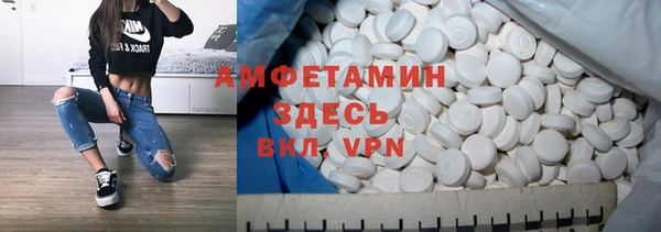 индика Волосово