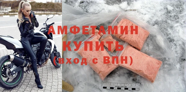индика Волосово