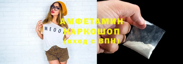 индика Волосово