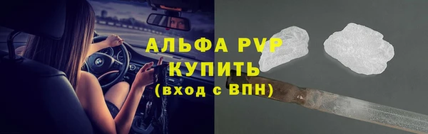 индика Волосово