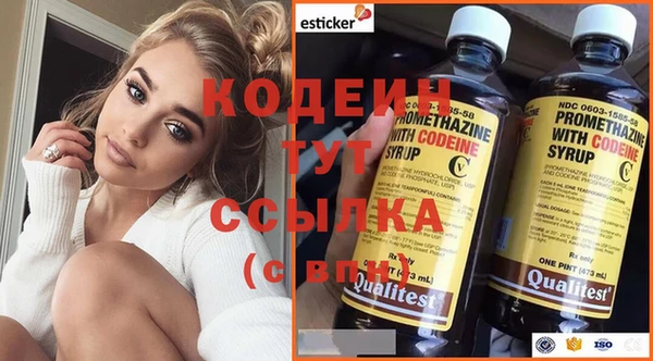индика Волосово