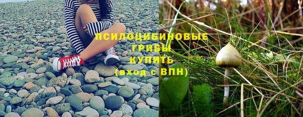 альфа пвп Володарск
